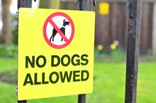 Close Up Of 'No Dogs Allowed' Sign