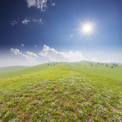 Wall Mural - Green field with  white clouds