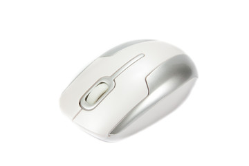 Computer mouse isolated on white background