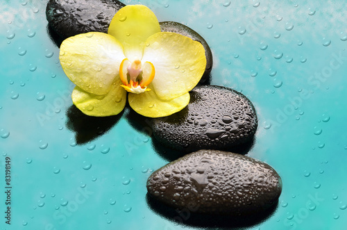 Fototapeta na wymiar Spa concept. Flower orchid and stone.