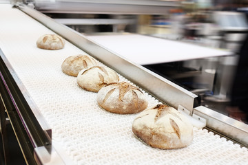 Wall Mural - Baked breads on production line at bakery