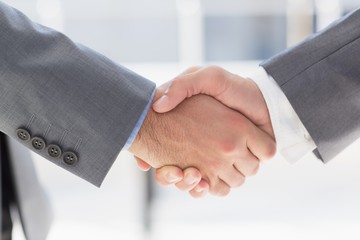 Business colleagues greeting each other