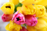 Fototapeta Tulipany - Beautiful bouquet of tulips close up