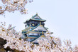 桜と春の大阪城