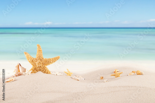 Nowoczesny obraz na płótnie Piaszczysta plaża z muszlami