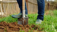 Woman Digging The Ground At Her Garden Using A Spade
