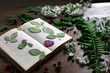 floral mix of pressed and dried spring flowers and leafs rustic