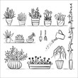 Pot plants and tools sketch