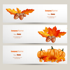 Wall Mural - Vector banner of colorful autumn leaves, acorn.