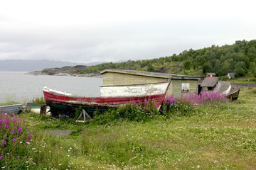 Wall Mural - norvegia 