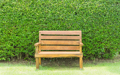 Wooden chair on green plant wall background