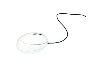 White computer mouse isolate on white background