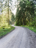Fototapeta Sawanna - empty country road in forest