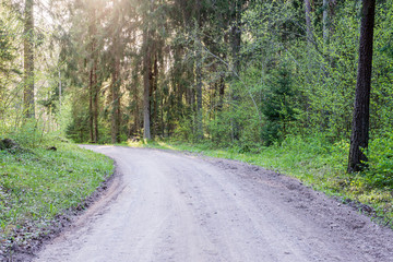 empty country road in forest