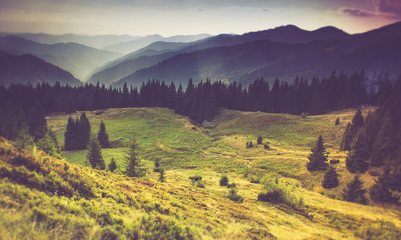 Beautiful summer landscape in the mountains.