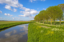 Canal Meandering Through The Countryside In Spring