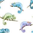 © zenina - Watercolor vector pattern reptiles chameleon