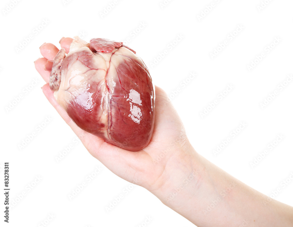 Heart in female hand isolated on white