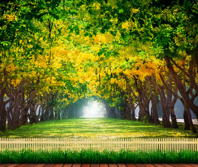 Wall Mural - wood terrace with fresh and green beautiful of summer blooming y