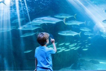 Aufkleber - Young man pointing fish in a tank with his finger 