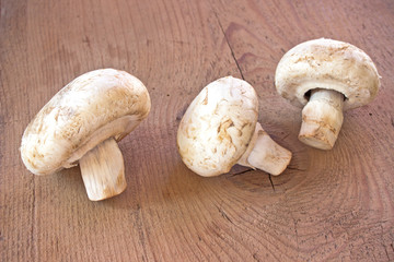 Mushrooms on a wooden table