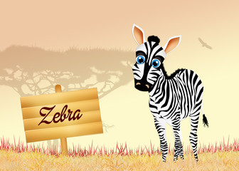 Sticker - zebra