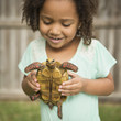 © Mint Images - A child holding a tortoise.