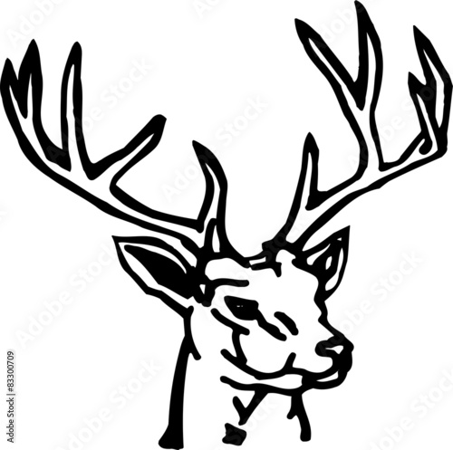 Obraz w ramie Animal Deer