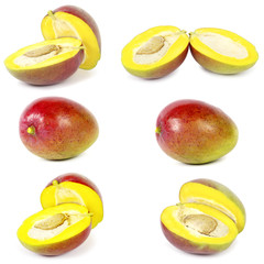 Sticker - mango collection