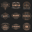 © antartstock - Set of Hipster Vintage Labels, Logotypes, Badges