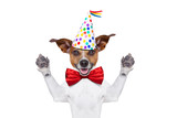 Fototapeta  - happy birthday dog