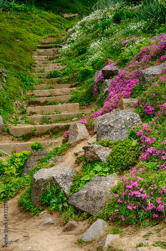 Obraz w ramie Stairway in botanic garden