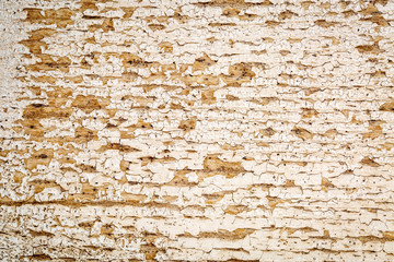 Sticker - grunge white painted barn wood texture