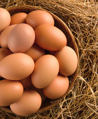  egg in a basket on the dried grass