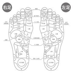 足つぼ解説図／白