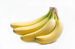 © svetlankahappy - Bunch of bananas on white background.