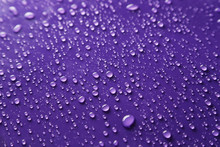 Water Drops On Purple Background