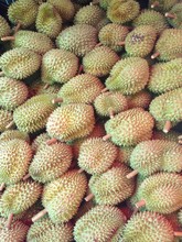 A Big Durian Division For Sell At The Market