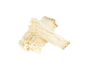 Enoki mushroom, Golden needle mushroom isolated on white backgro