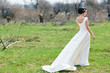 © golubovy - The bride on a green meadow