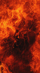 Poster - fire background