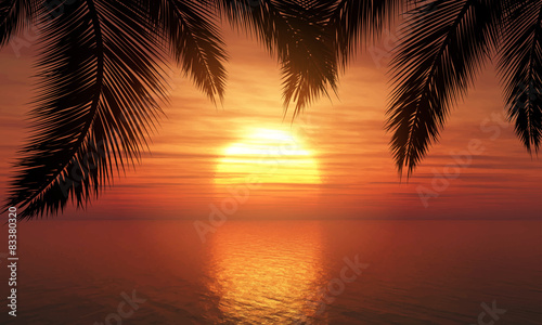 Plakat na zamówienie Palm trees against sunset sky