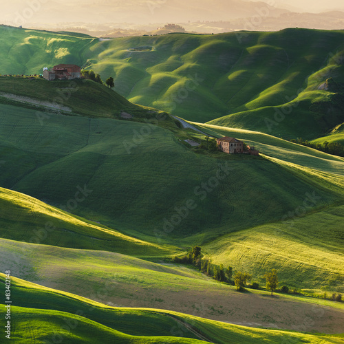 Naklejka na szybę Crete Senesi place in and around Siena and Asciano in spring aur