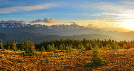 Wall Mural - mountain sunset with meadow and forest