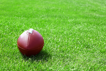 Wall Mural - Rugby ball on green field