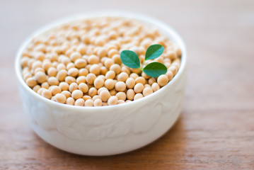 soy bean on white wooden background