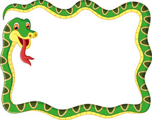 Illustration Snake Frame