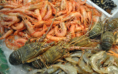 Fresh seafood in the market in Spain