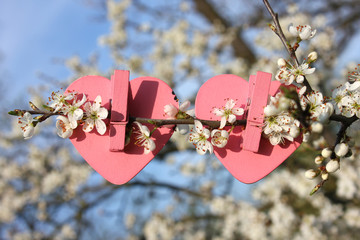 Two pink hearts on tree