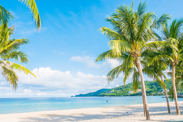 Wall Mural - Tropical beach